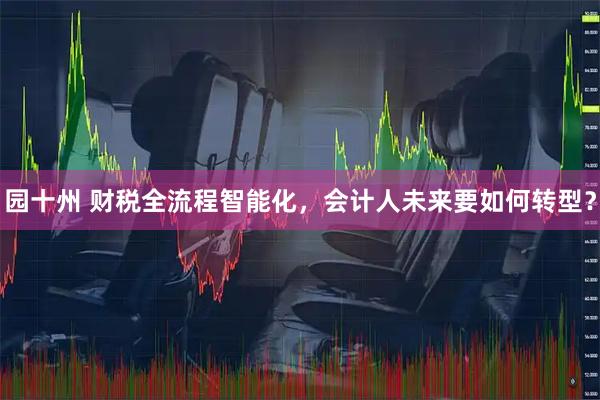 园十州 财税全流程智能化,会计人未来要如何转型?