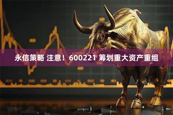 永信策略 注意！600221 筹划重大资产重组