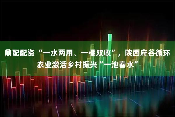 鼎配配资 “一水两用、一棚双收”，陕西府谷循环农业激活乡村振兴“一池春水”