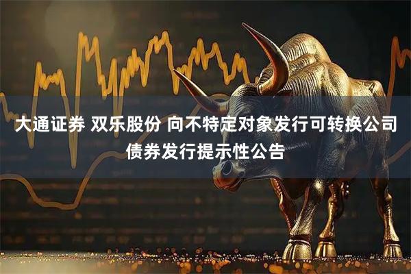 大通证券 双乐股份 向不特定对象发行可转换公司债券发行提示性公告