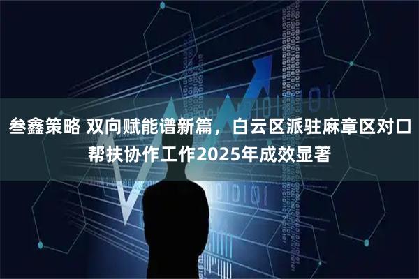 叁鑫策略 双向赋能谱新篇，白云区派驻麻章区对口帮扶协作工作2025年成效显著