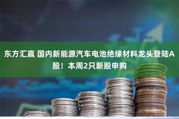 东方汇赢 国内新能源汽车电池绝缘材料龙头登陆A股！本周2只新股申购